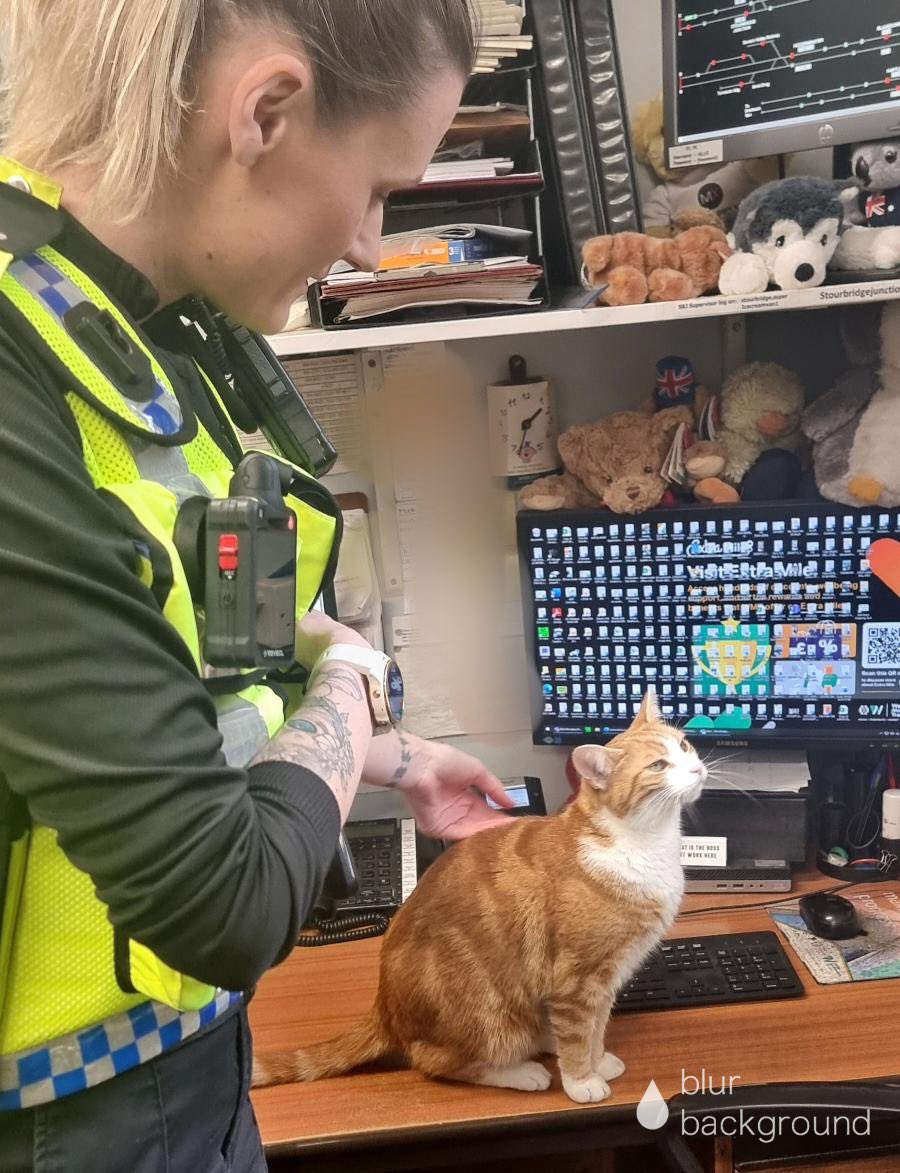 Meownself having some love and attention from PC Lamine from Birmingham Response Team 3, BTP 🚔 *I am a very very good boy apparently @BTPBhm #cats #cats #Cat #CatsOnTwitter #CatsOfTwitter
