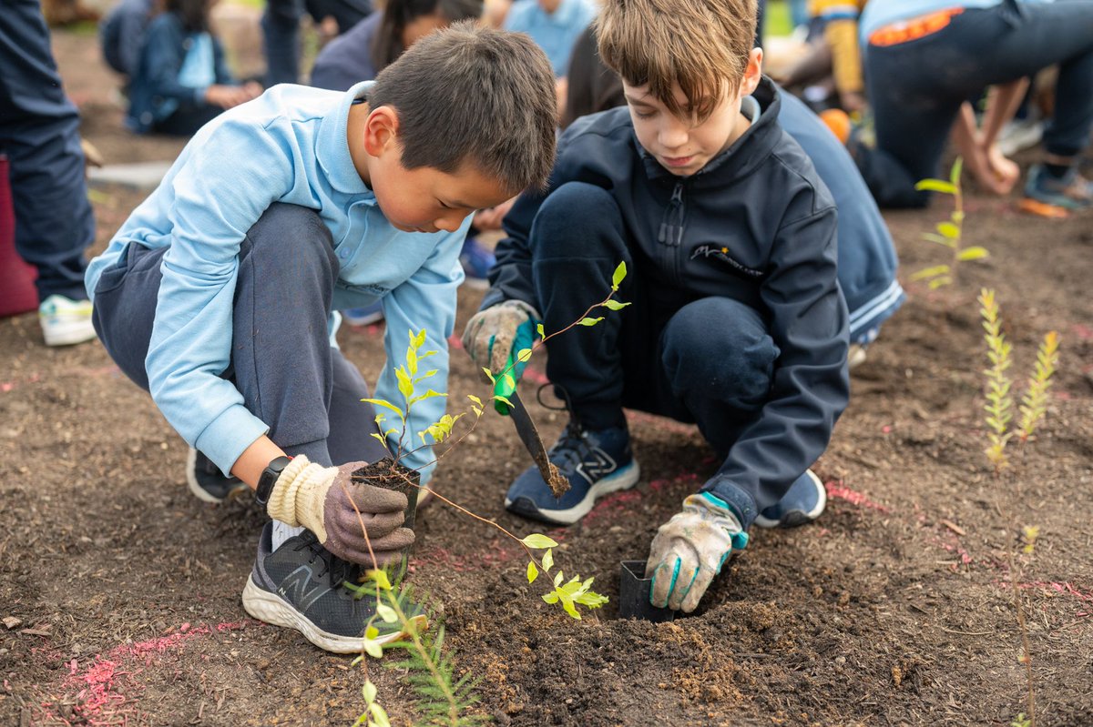Tiny Forest planting has begun! 🌳 🌱 Today, 60 students from Mount View PS eagerly rolled up their sleeves and got their hands dirty, contributing to the creation of this forest.

@monashcouncil @bupaaustralia #TinyForest #EarthwatchTinyForest #TreePlanting #naturepositive