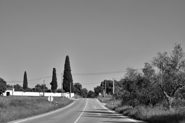 The road ahead 
#blancoynegro #monochrome #moments_in_bnw #blackandwhite #bw #noir_et_blanc #raw_bnw #blackandwhitephotography #fotografie #fotografia #photography