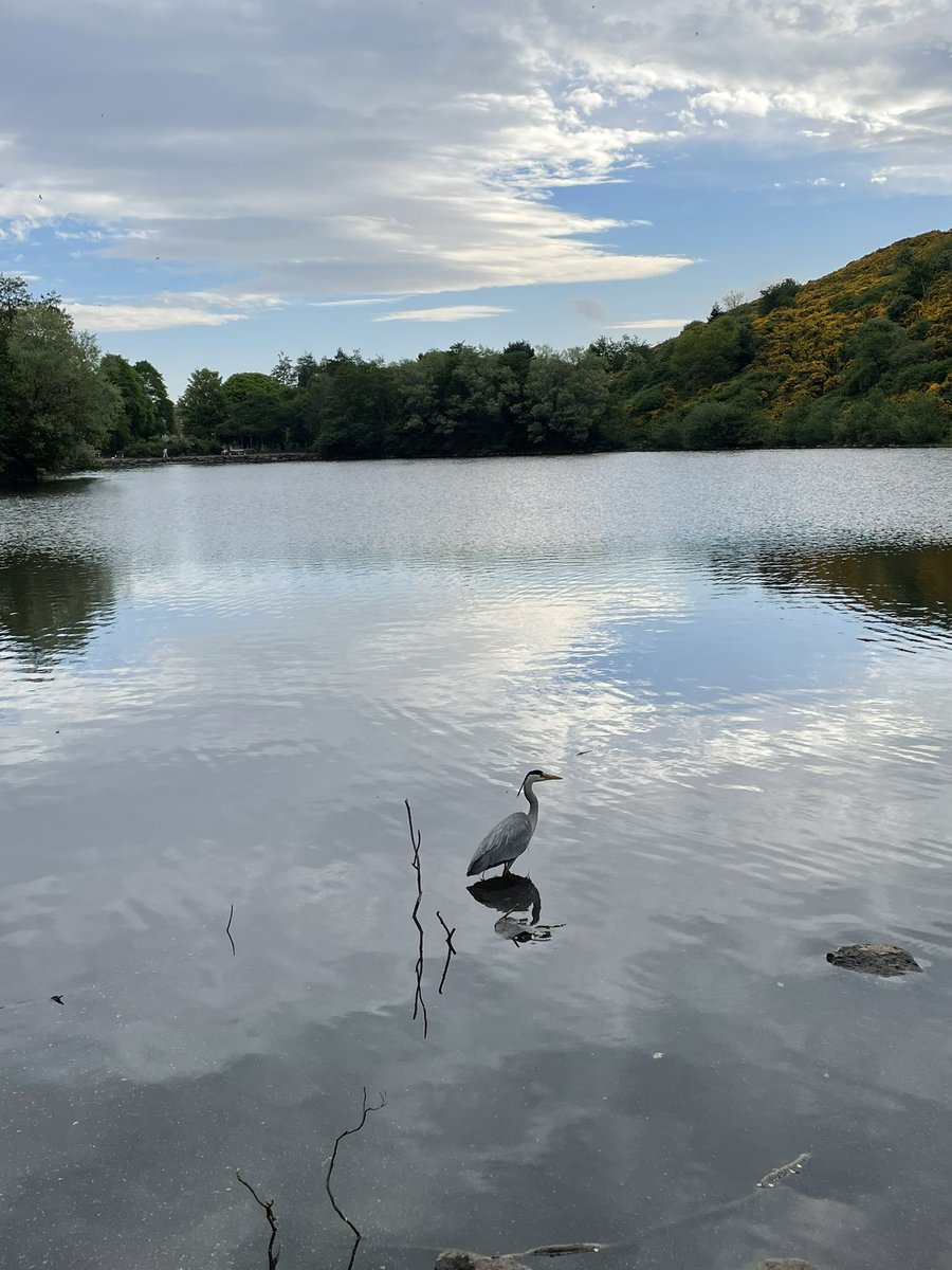 Today’s #dailymile pic is a perfect illustration of how finding #MomentsForMovement is good for your mental health. 

This #MentalHealthAwarenessWeek find ways to get moving outdoors - you’ll feel instant benefits!