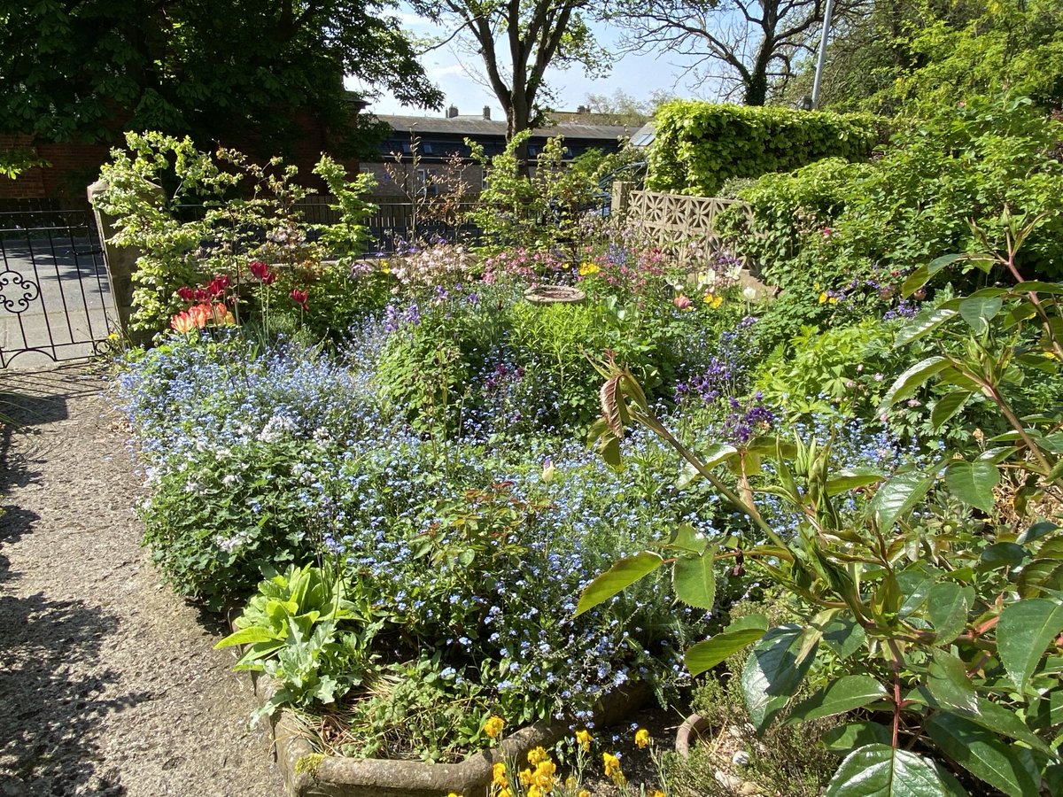 It’s a joy to find our front garden full of life and colour when we open our hedgehog friendly gate after our first visit to the Cairngorms this year. When we make room for nature, nature’s generosity is awesome.