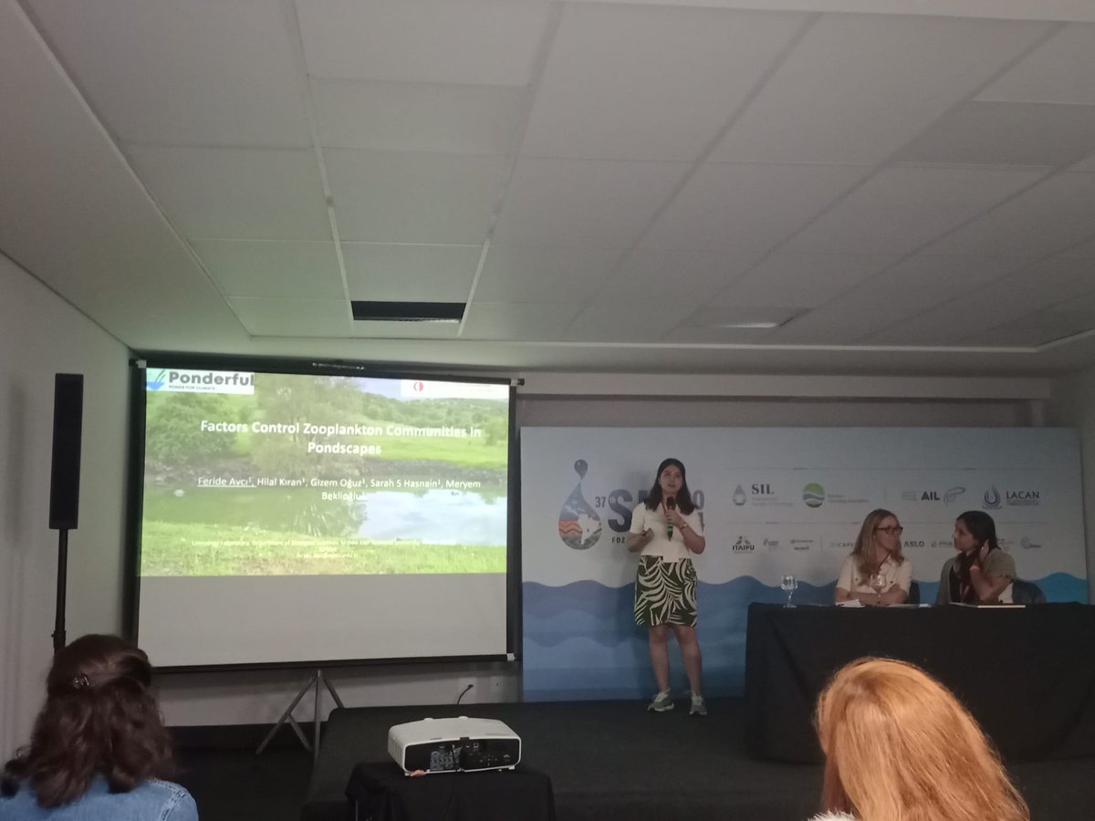 Feride Avcı tweet media