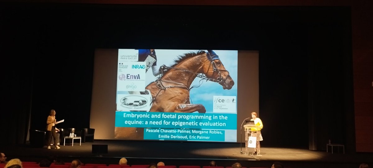 The mighty Pascale rocking the boat on epigenetic reprogramming at the #horsegenome @horsegenome24 🐴🐴🐴