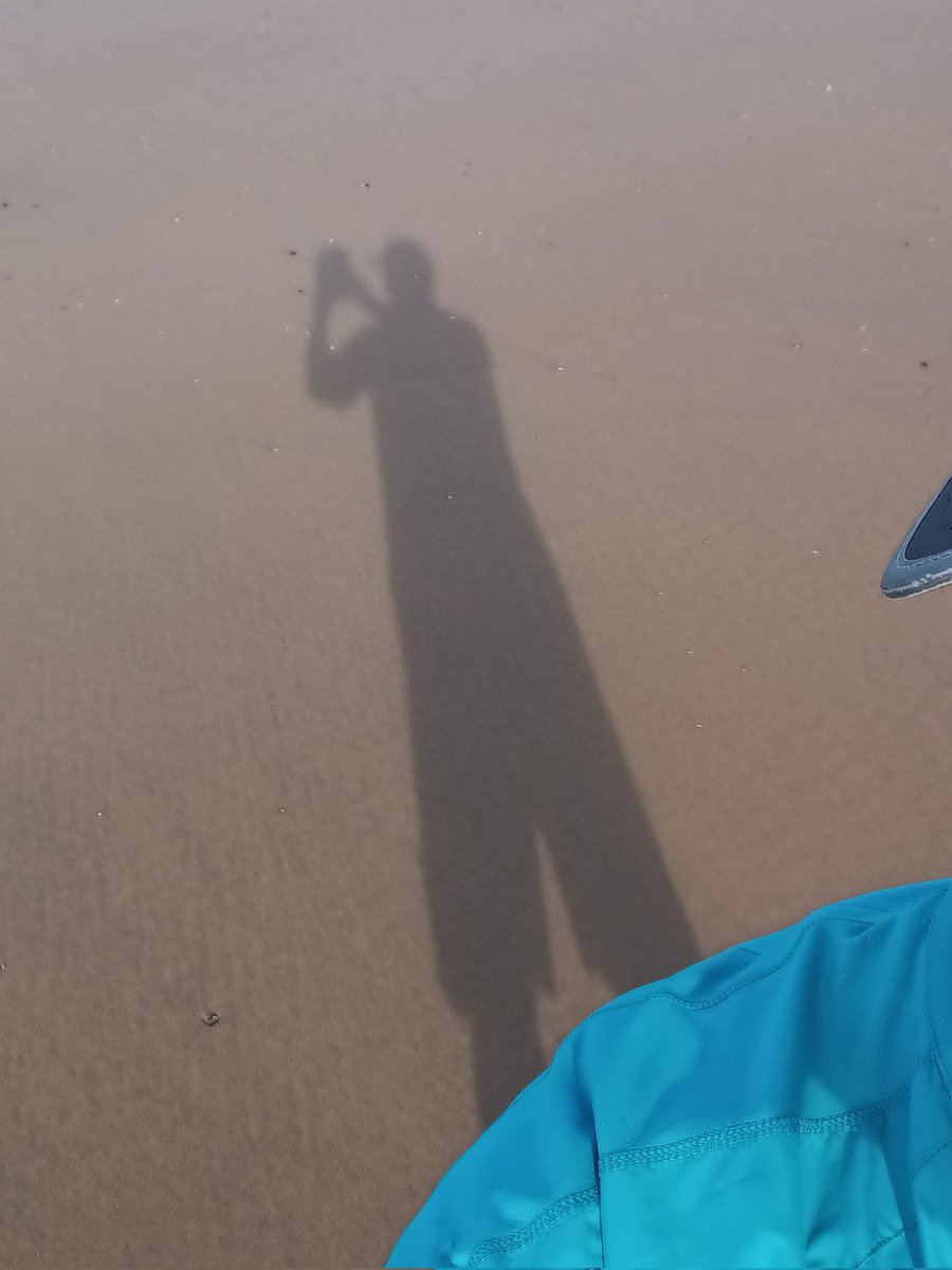 @welovedonegal @govisitdonegal @TourismIreland 
This fellow followed me on my early morning walk on beautiful beautiful Tullan Strand - couldn't shake him! Sometimes, he walked behind me, sometimes in front of me, but mostly alongside me 🌞😎