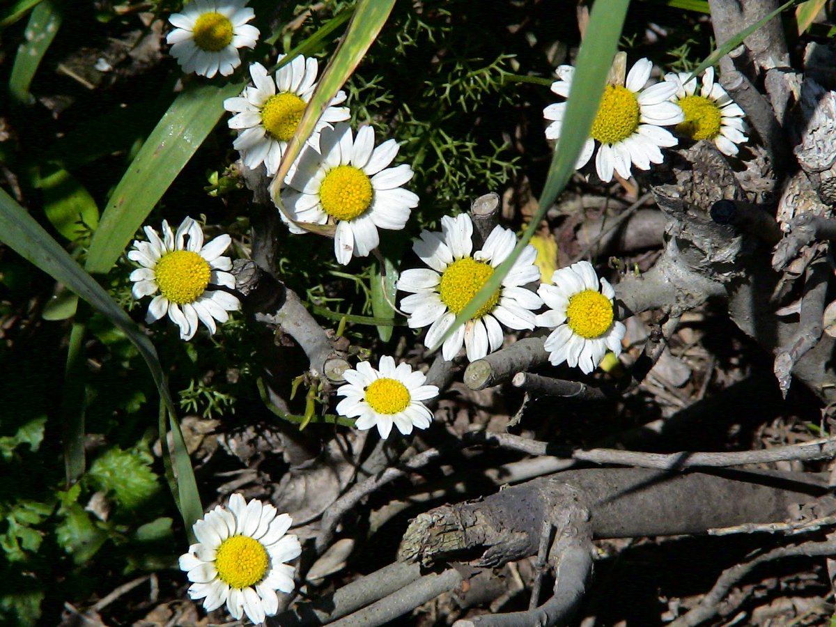 Hayatta bazen beklediğimiz yerden değilde tahmin etmediğimiz yerden sınıyor.