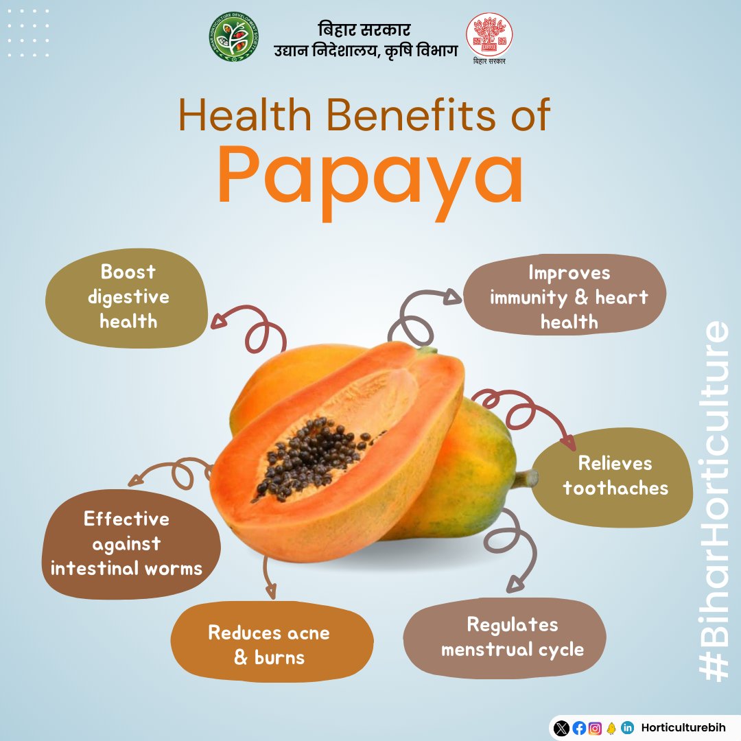 Health benefits of #Papaya 
@SAgarwal_IAS
@abhitwittt
@Agribih
@AgriGoI
#HealthyLiving #HealthyEating  #agriculture #Horticulture #Bihar