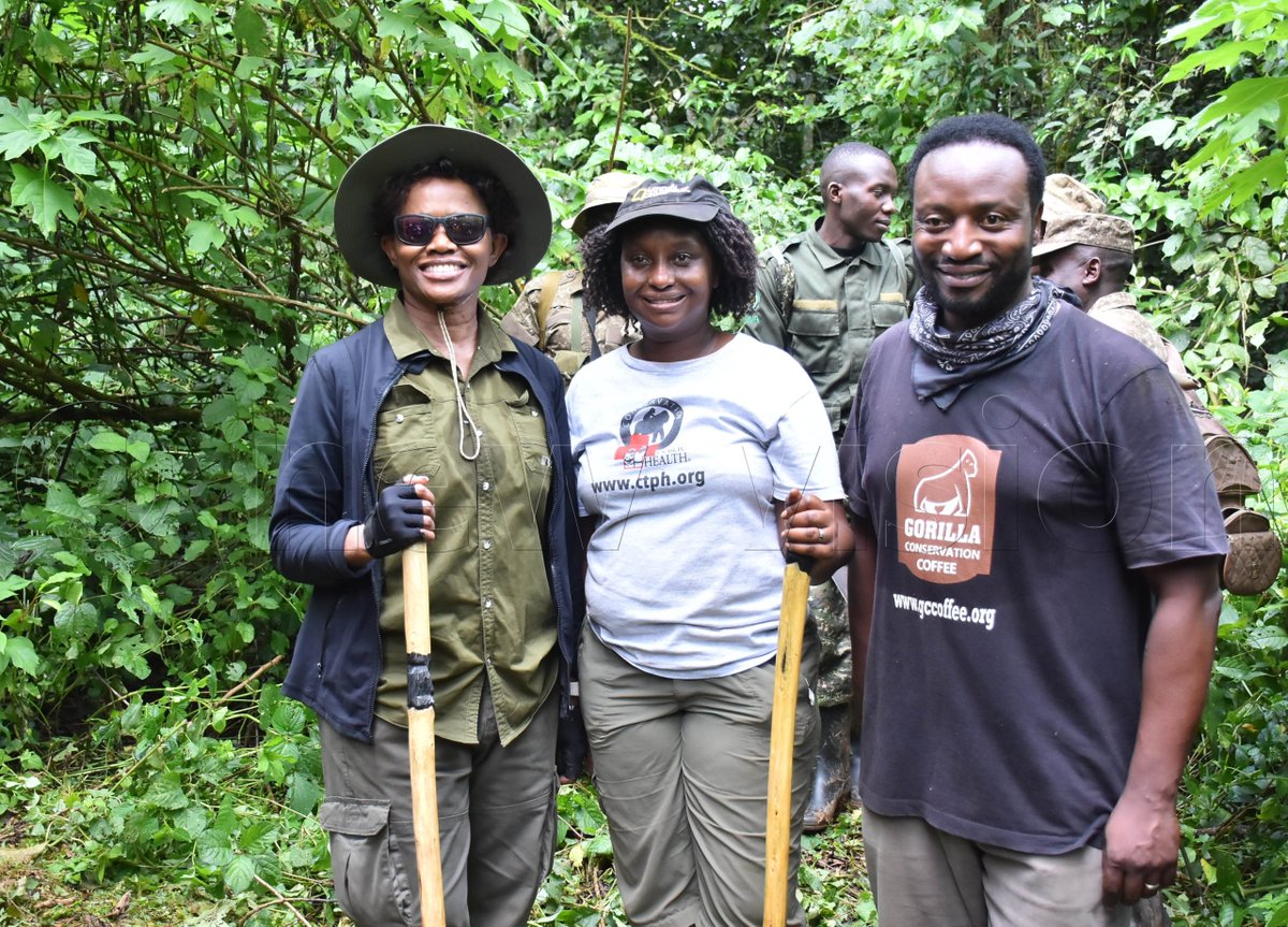 Don't miss it! Part 2 of our conversation with @DoctorGladys goes live tomorrow! Tune in to hear more about her incredible work in gorilla conservation. #conservationheroes #gorillaz  #wildlifeconservation