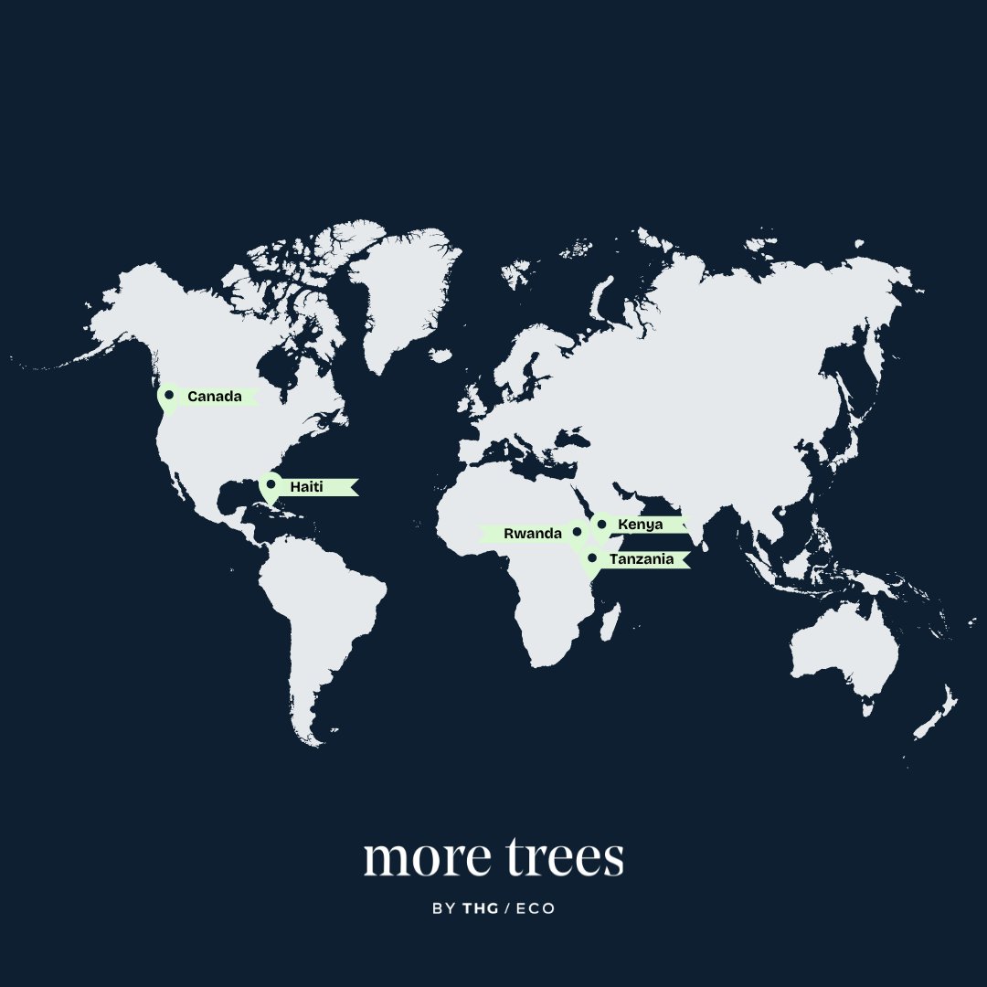 We're proud to be working with our tree planting partners to plant trees in multiple sites across Kenya, Rwanda, Haiti, Tanzania and Canada. To learn more, please head to our website moretrees.eco 🌎