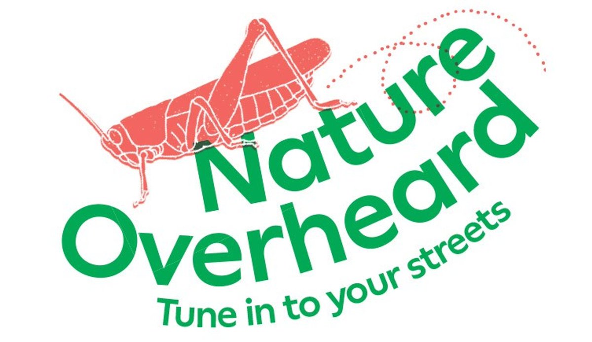 Do #insects have to change their sounds to be heard in noisy places?   🦗Join the @NHM_London #NatureOverheard survey to help better understand how road noise affects insects ℹ️ Find out more & sign up to take part👇 nhm.ac.uk/take-part/moni… #CitizenScience #NatureOverheard