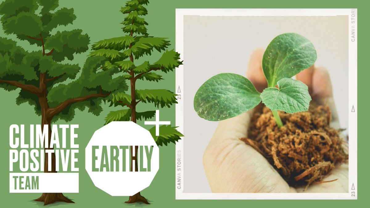 The CPD Standards Office is registered with Earthly to offset our company's carbon footprints. We plant trees for each new member, supporting our sustainability charter🌱 👉🏻Read more about it here - cpdstandards.com/about-us/our-s… #earthly #ecoconscious #sustainability