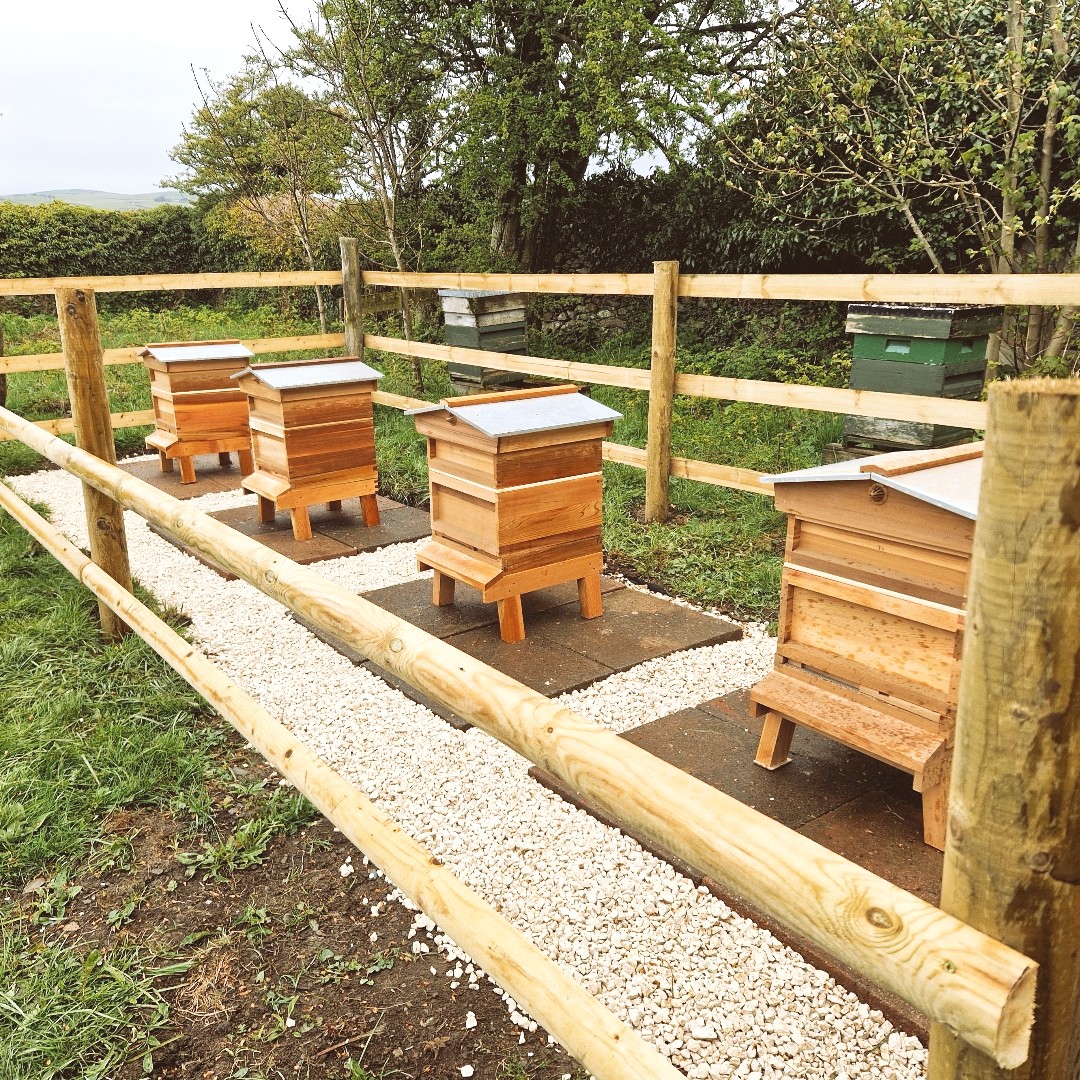 We're buzzing with excitement 🐝

We've just installed our new bee hives at the bottom of the meadow! Come and have a look next time you visit #SwarthmoorHall. And don't forget to #shoplocal and buy our lovely honey in our gift shop. 🍯

#Beekeeping #Cumbria #LakeDistrict