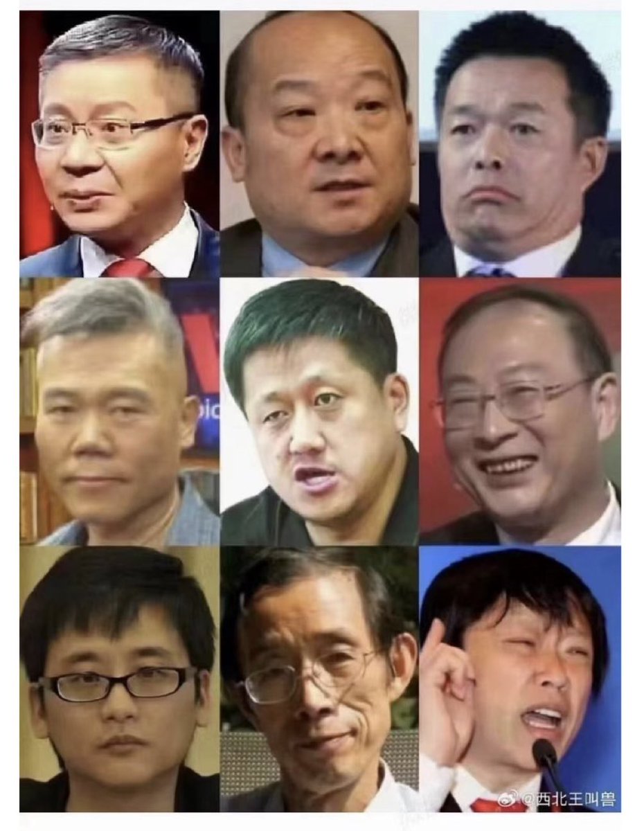 Jerry00107966's tweet image. 看看习近平反人类共同体的高参都长啥样？😂