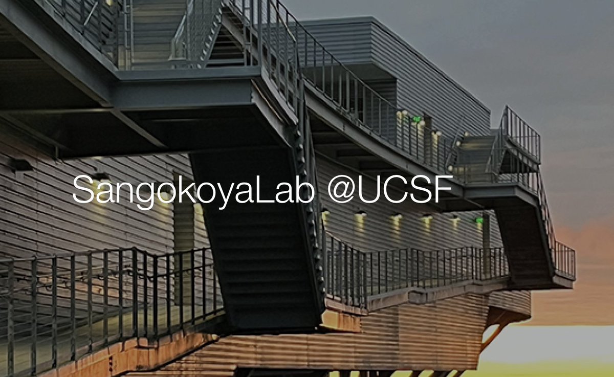 The SangokoyaLab@UCSF is recruiting postdoc(s) see rb.gy/r0v076 for info. if attending ASIP Liver #slam24 or #ISSCR2024 #stemcell conf --would love to share our work. looking forward to fantastic candidates🎉this lab♥️'s 🔥sensors, #RNA #iron #spatialbiology -pls RT!🙏🏾