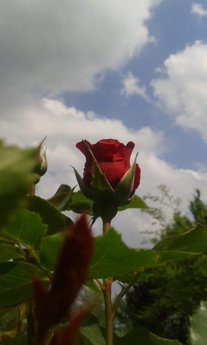 L'invidia è un sentimento che appartiene alle persone terribilmente 'povere'. Non solo nel cuore ma anche nell'anima. Cit.

Buongiorno e sereno martedì 💚