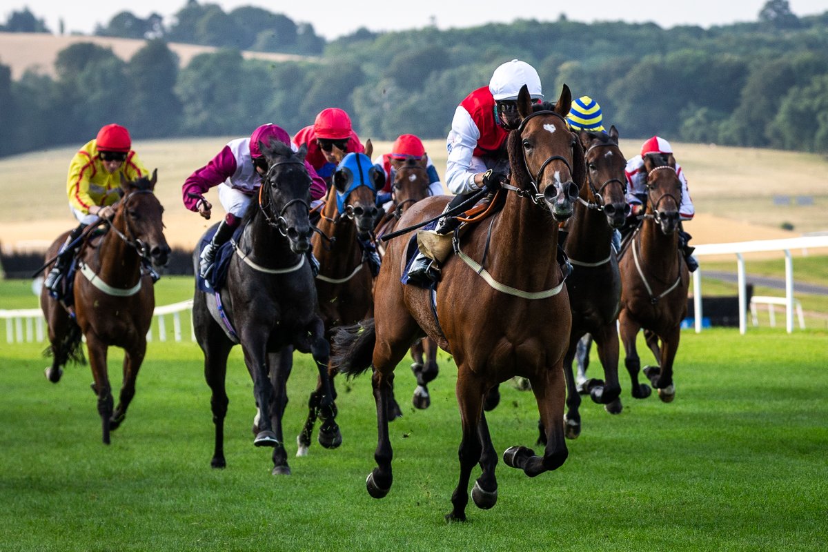 Going update for tonight's opening flat fixture of 2024: SOFT 16.2mm rain in the last 24 hours Forecast - sunny spells with a risk of light showers Seven races from 5.40pm, gates open 3.40pm - tinyurl.com/yc5wxpbk