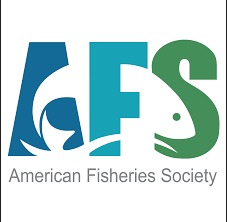 🔝Great news! The Elect President of the American Fisheries Society @AmFisheriesSoc Miguel García Bermúdez will be present in the X Iberian Congress of Ichthyology of @SIBICorg #SIBIC2024 😉 Don't miss out!🦈🐡🐠🐟 This Friday is deadline to register sibic2024.org/registration/
