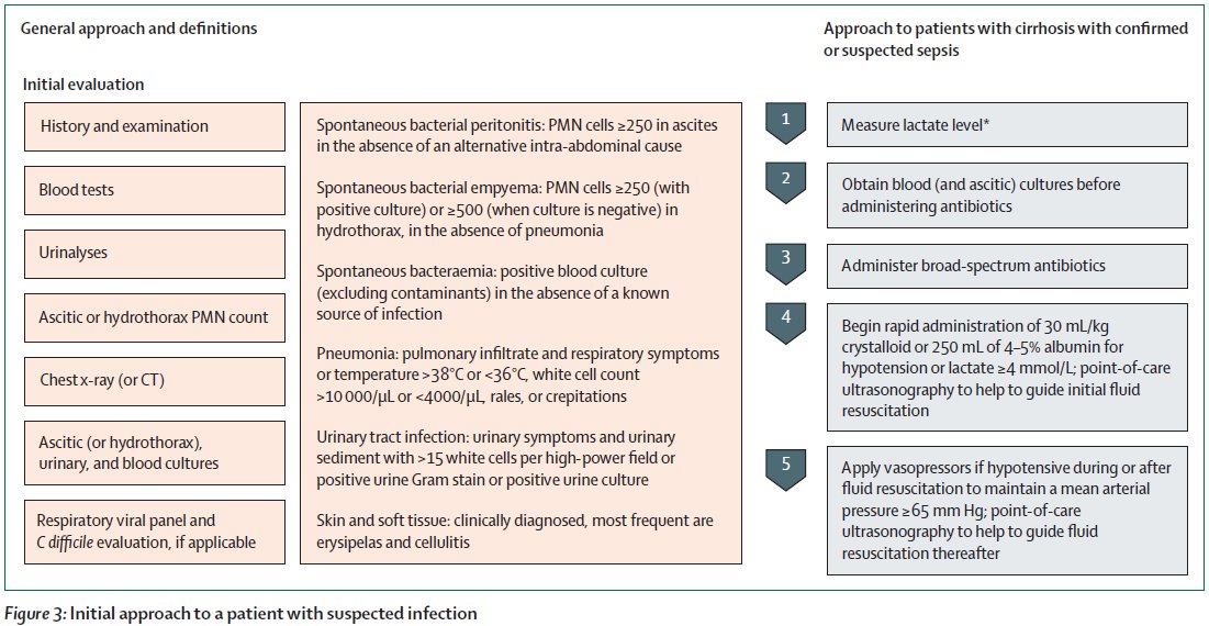 New Review - Piano et al - Infections in cirrhosis thelancet.com/journals/langa… #LiverTwitter #IDTwitter #Cirrhosis @salvatore_piano @sebas_marciano