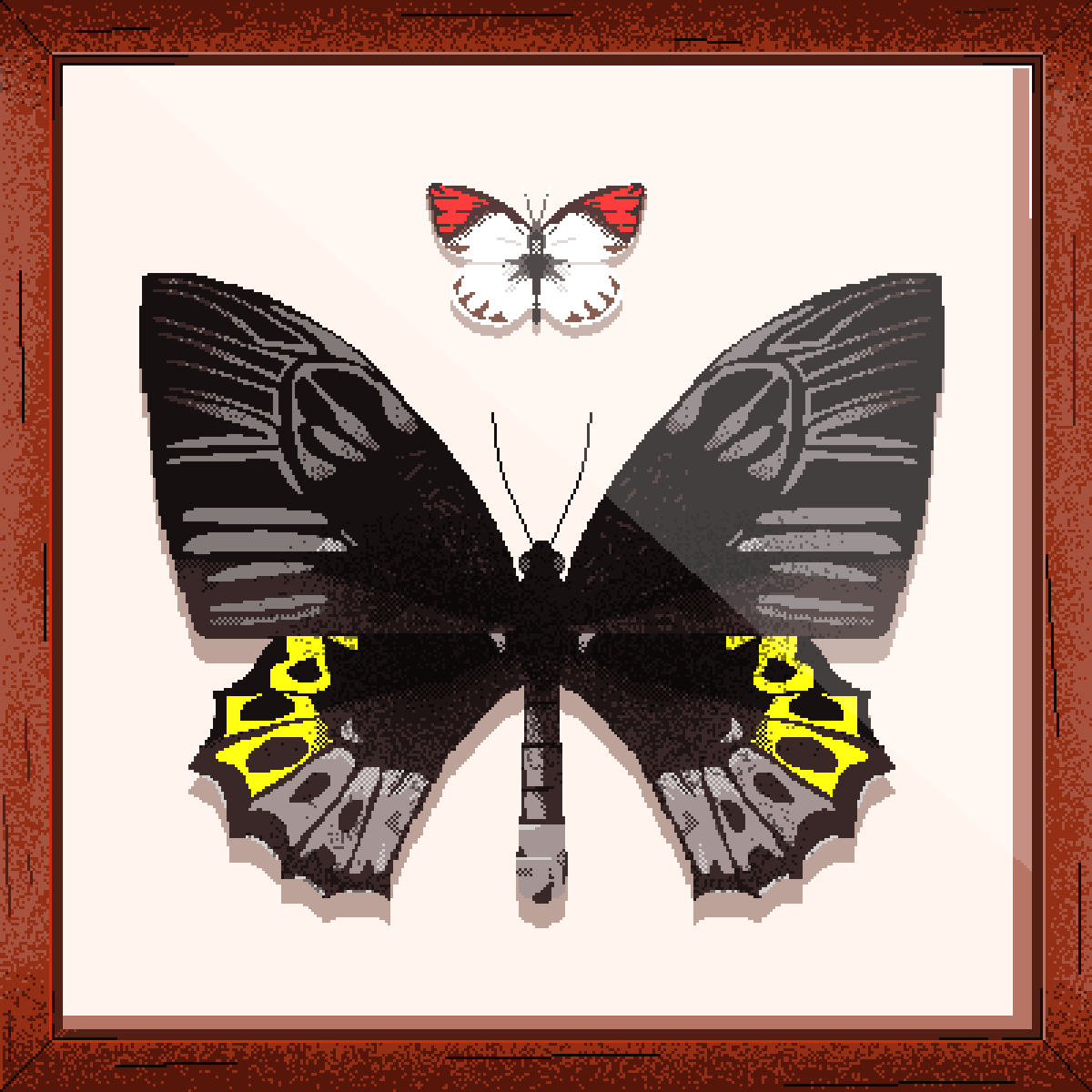 PixelArthropods's tweet photo. Meet this two unique butterflies Red Tip and Rippon's Birdwing! I hope you guys like it ^^
#butterfly #butterflies #pixel #pixelart #digitalart #art #insect #arthropod #bug #bugs #birdwing #RedTip https://t.co/q53SBxQ56L