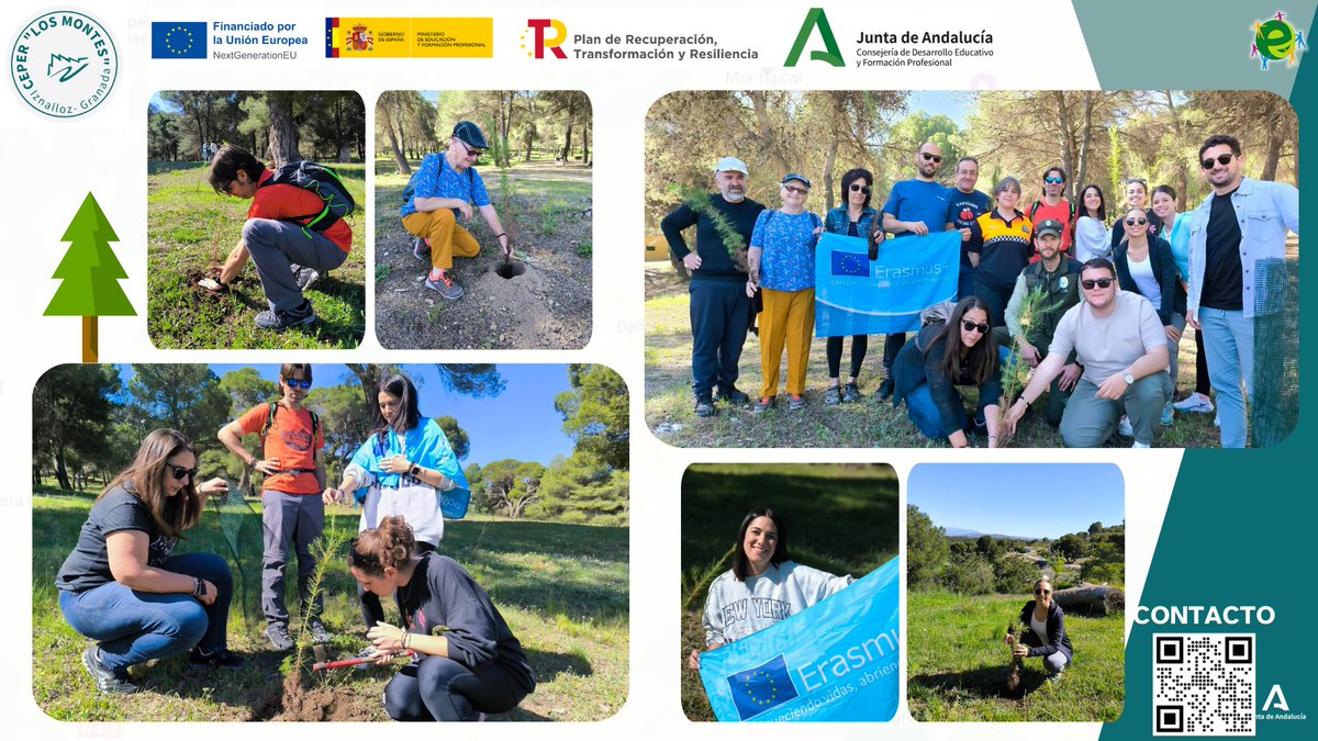 LosMontesCEPER's tweet photo. Uno de los objetivos de nuestro plan Erasmus plus es el desarrollo sostenible. Por ello hemos realizado una plantación de pinos y quejigos en el "Sotillo". Casi 50 árboles plantados que ayudarán a compensar la huella de carbono. @EducaAnd @edpermanente @fadultos @EUErasmusPlus https://t.co/HHcGNv108d