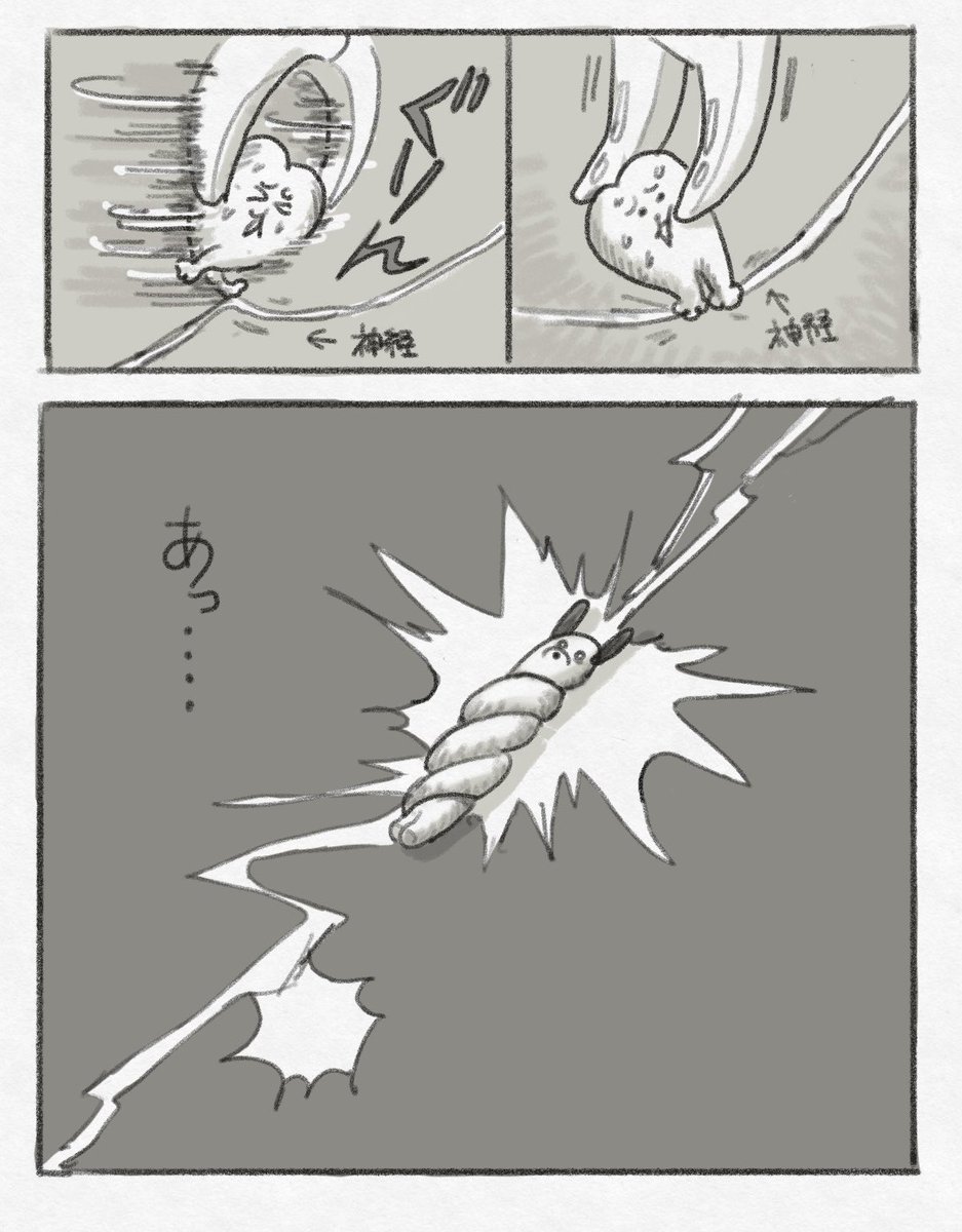 親知らずの日記 