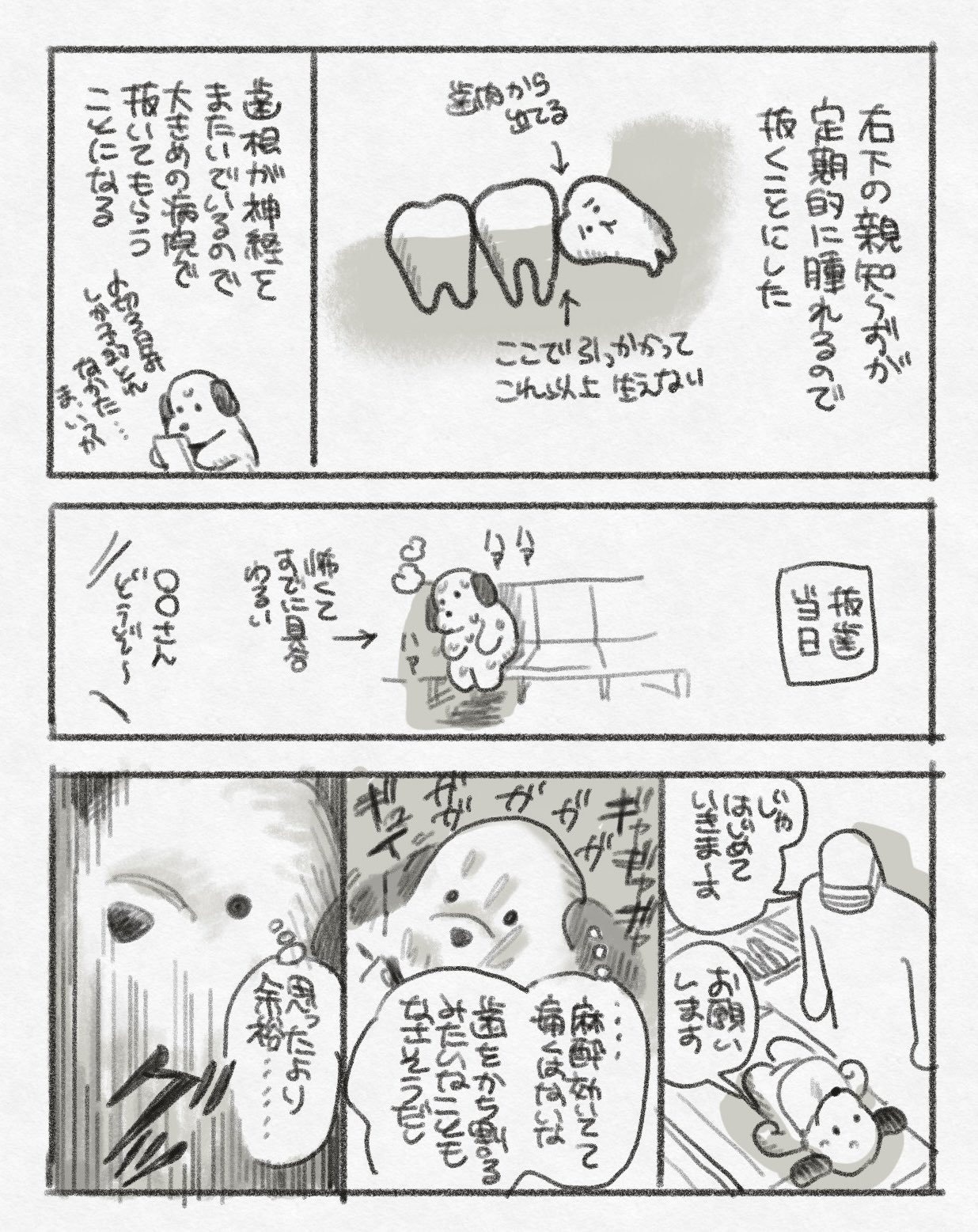 あーさん様 4573199846132-1.jpg