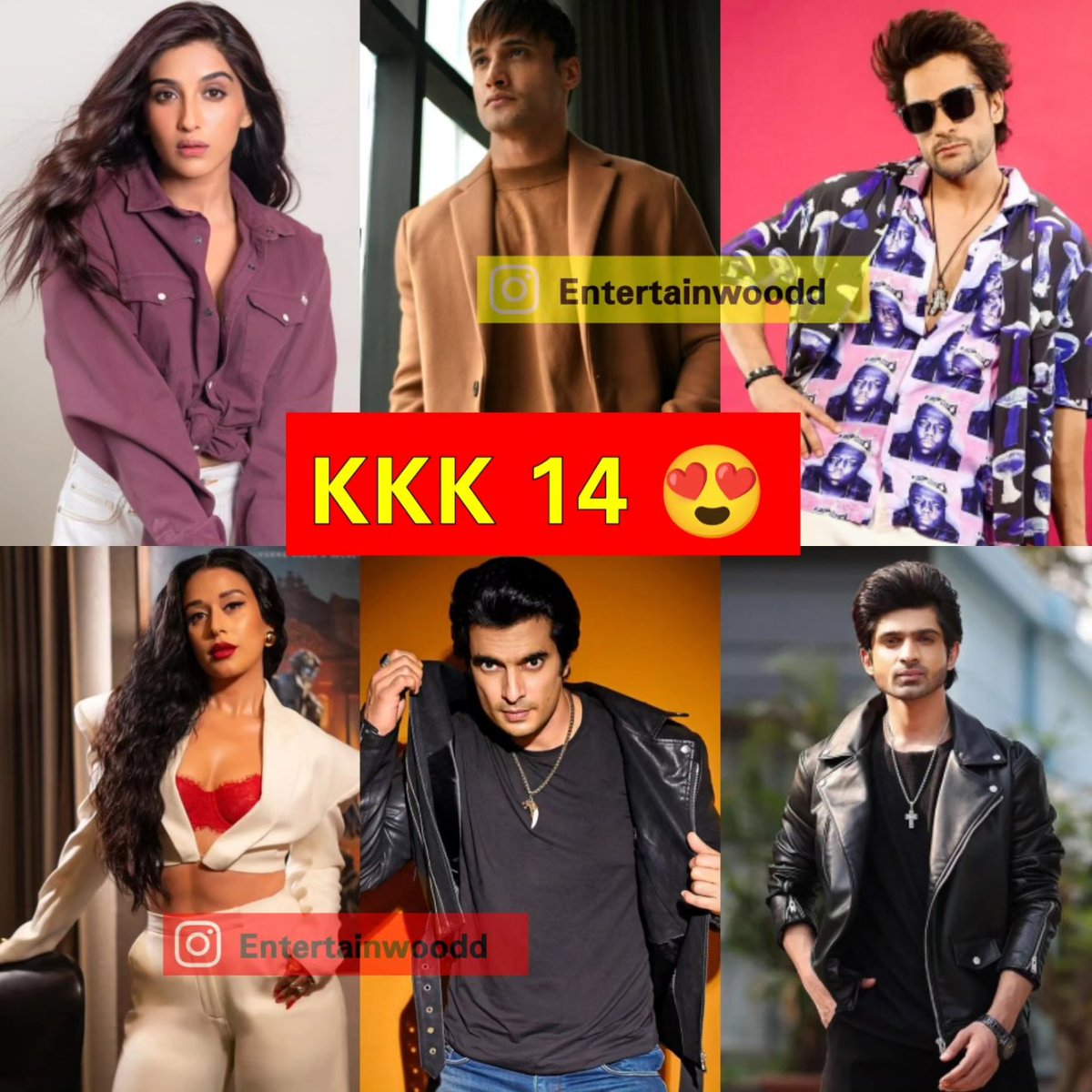 As per reports, confirmed contestants of #KhatronKeKhiladi14 😍❤️ #nimritkaurahluwalia #AsimRiaz #shalinbhanot #krishnashroff #GashmeerInKKK14 #AbhishekKumar𓃵 #KKK14