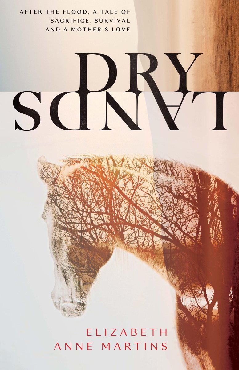 📚#postapocalyptic fiction @yvonnembee reviews Dry Lands by Elizabeth Anne Martins @flametreepress #TuesdayBookBlog vonnibee.com/2024/05/14/dry…