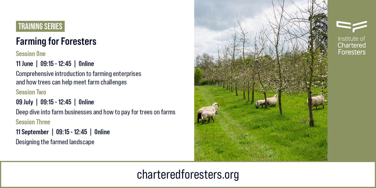 We've just launched a new training series #FarmingforForesters that will cover the integration and better management of trees in the farmed landscape, considering farm systems and enterprises 🌳 👉 Webinars on 11 June, 9 July & 11 September Book today: bit.ly/4aheTVQ