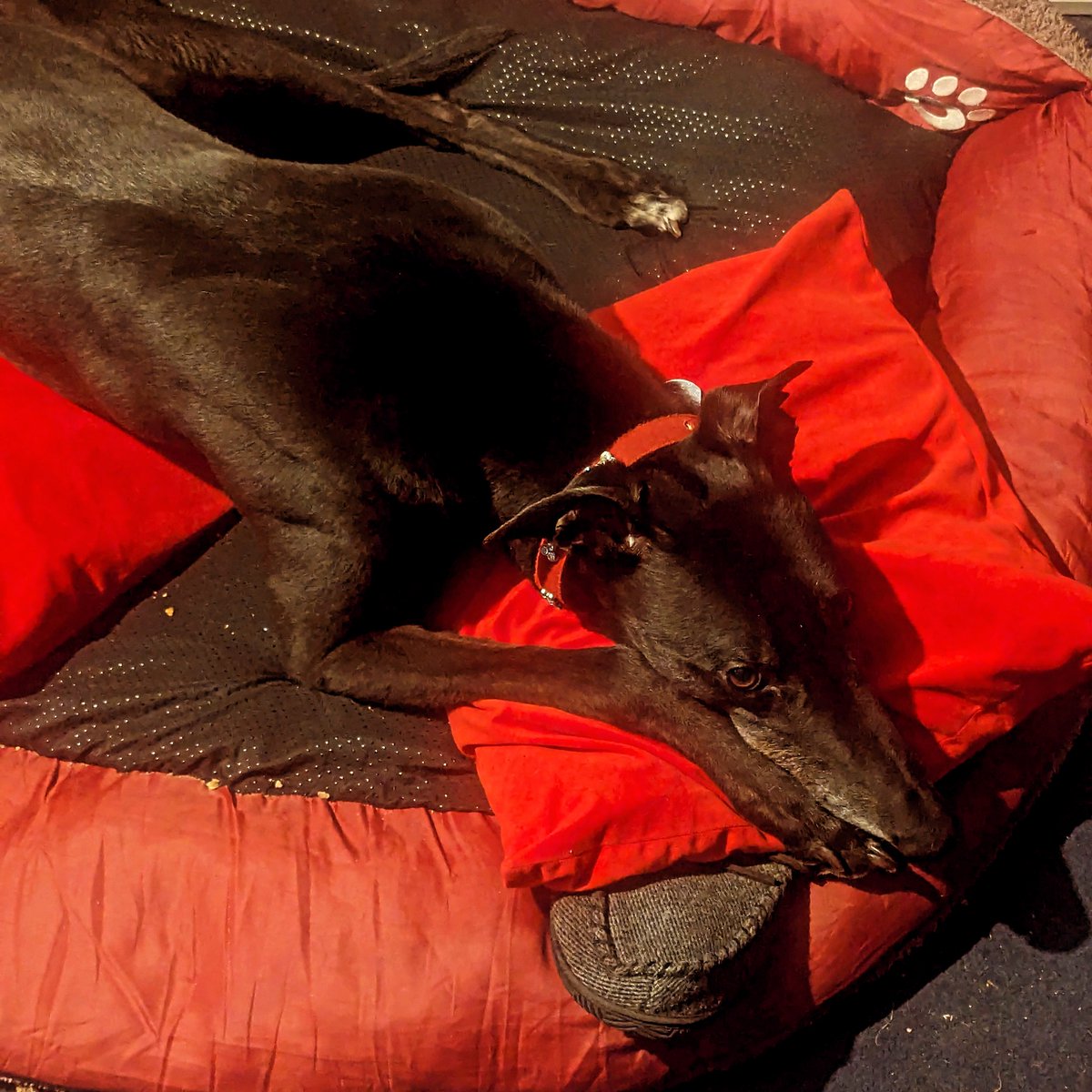 freaksquid5's tweet image. 