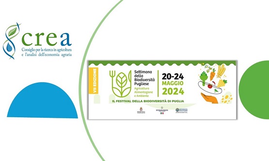 Prende il via la VII edizione della Settimana della Biodiversità Pugliese, Agricoltura Alimentazione e Ambiente 📆Dal 16 al 24 Maggio👇 crea.gov.it/web/agricoltur…