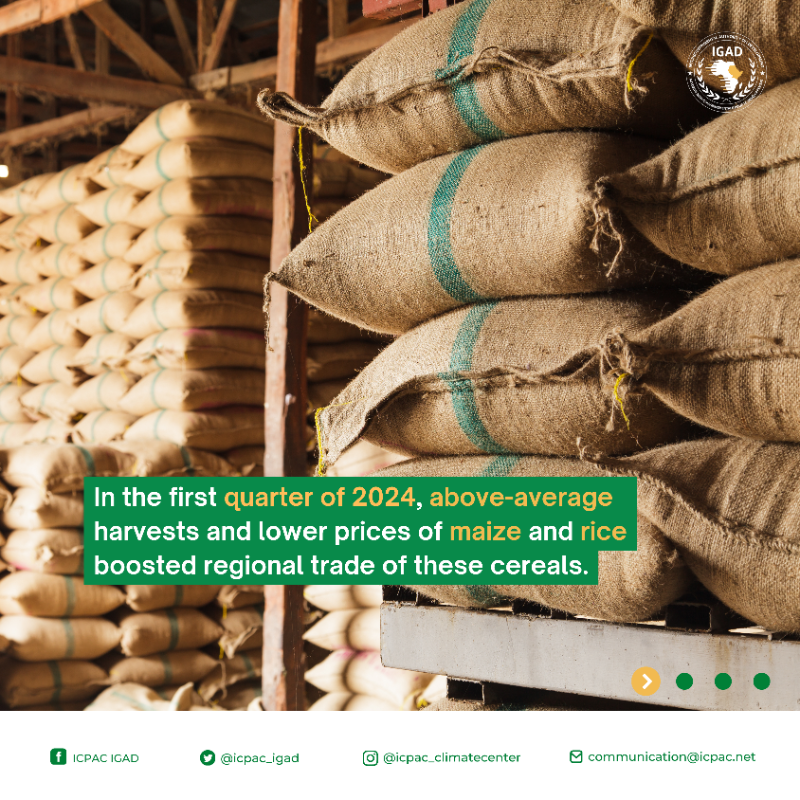 IGAD_CPAC's tweet photo. ℹ️ ICYMI: The #FSNWG cross-border trade update on #food commodities and livestock traded across #EastAfrica in the first quarter of 2024 (January - March), and projections for Q2 is out. #FoodSecurity #RegionalTrade #FightFoodCrises
Read the bulletin ⬇️