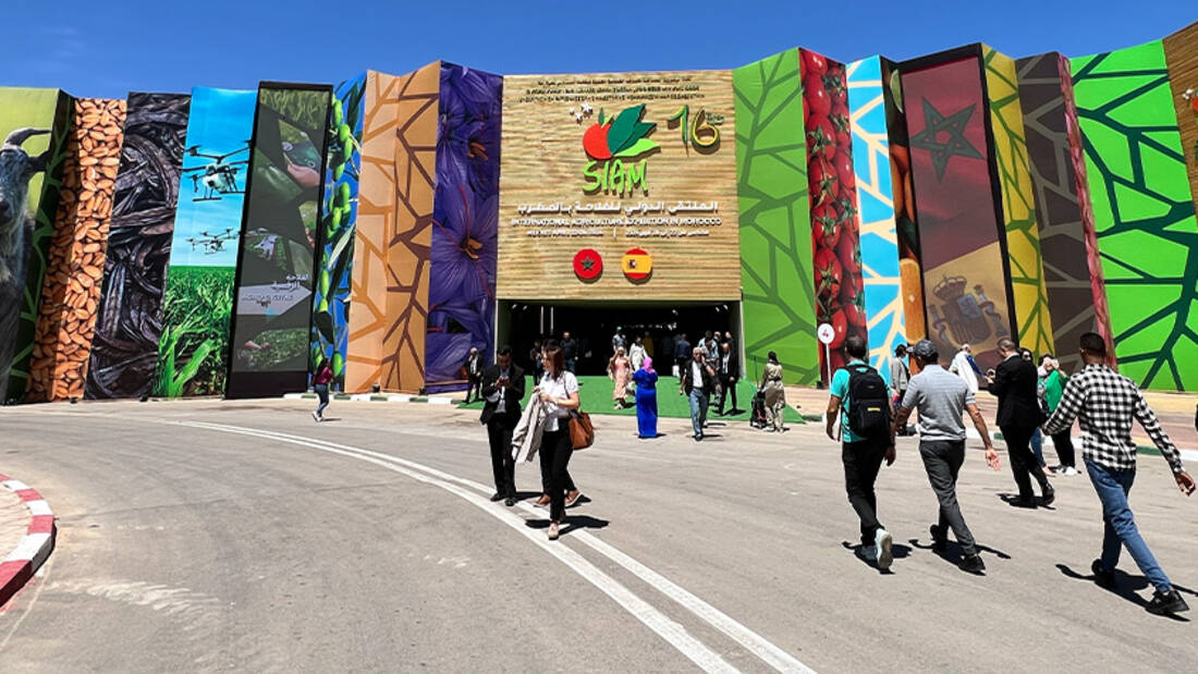 ICARDA at #SIAM2024!✨ 🇲🇦 🌱Our delegation showcased our work on climate-smart crops & genebank biodiversity. 💡 Also emphasized the importance of women's cooperatives & young scientists for a resilient agri-food system in a changing climate. ⬇️ icarda.org/media/news/adv…