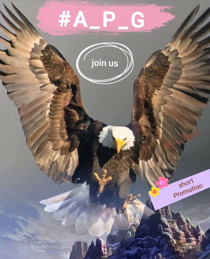 🅖🅤🅛🙋♀️ (@1gpti) on Twitter photo #A_P_G♻️سپشل
<a href="/1PTI_/">PTI PROMOTIONS</a>
<a href="/_1gul/">Aαɾα น'Şคfຊคi</a>
<a href="/1Rjpt/">🇵🇰𝕊𝐚𝐧𝐚 ℝ𝐚𝐣𝐩𝐨𝐨𝐭🇨🇦</a>
<a href="/bnte_/">بـٌـٌٌـٌٌٌـٌٌـٌنـِِـِـتـٌـٌٌـ۔</a>
<a href="/Ghz97/">✪𝗚𝖍𝖆𝖟𝖆𝖑𝖆𝖍 𝗦𝖆𝖉𝖆𝖋✪</a>
<a href="/1nuzk/">Nazu Khan 💞</a>
<a href="/sqb27/">Saqib</a>
<a href="/1fazl2/">فضـ𝓪𝓴𝓫𝓪𝓻ـل</a>
@1Aara
<a href="/Sjd8O/">♲︎︎︎𝐒𝐚𝐣𝐢𝐝 𝕄𝕖𝕙𝕞𝕠𝕠𝕕♲︎︎︎</a>
<a href="/SiirSL1/">🌬️@SiirSL1🎊🎊</a>
<a href="/5kshf/">syed kashif</a>
@5nqvi
<a href="/Znt33/">🦋ZêēñäT</a>
<a href="/I_G68/">𝐼𝐹𝒻𝒾 𝒢𝑜𝒩𝒟𝒶𝐿</a>
<a href="/glmsjd/">𝑺𝒂𝒋𝒋𝒂𝒅 ✨</a>
<a href="/SR_Pti/">ᕙᕗ𝐑𝐚𝐬𝐡𝐢𝐝ᕙᕗ</a>
<a href="/1GPTI/">Misbah</a>
<a href="/zz70m/">🌸Ameer Zahir🇵🇰</a>
<a href="/MIG9T/">Khadija Saeed</a>
<a href="/D3G39/">Dིeིcིeིnིtི Gིuིjིjིaིrི</a>
@Lub_03
<a href="/1Mahii1/">♡𝖬𝖺𝗁𝗂 𝖬𝖺𝗅𝗂𝗄♡</a>
<a href="/F4FB2U/">𝐍𝐨𝐨𝐫 𝐌𝐮𝐡𝐚𝐦𝐦𝐚𝐝 𝐍𝐨𝐨𝐫𝐚𝐧𝐢</a>
<a href="/TSC143_/">آفیسرز</a>
<a href="/cknlaw1/">🌐ニシ🍥⚖️</a>
<a href="/Qs3488/">Qamar Shahzad🦅</a>
@Ozlerntr
<a href="/__Libra1/">𝚂𝚞𝚏𝚒𝚊 𝚂𝚑𝚊𝚑🍁</a>
<a href="/ISI0013/">Itx_013.</a>
<a href="/OdriSeva/">Odri Seva</a>
<a href="/asad__78/">💞دآلَيـ❤ـآ مـ❤ـحـ❤ـمـ❤ـد</a>
<a href="/NJW788/">Najwa</a>
<a href="/Z2chp3/">أم ساره،🇸🇦</a> #A_P_G♻️سپشل
<a href="/1PTI_/">PTI PROMOTIONS</a>
<a href="/_1gul/">Aαɾα น'Şคfຊคi</a>
<a href="/1Rjpt/">🇵🇰𝕊𝐚𝐧𝐚 ℝ𝐚𝐣𝐩𝐨𝐨𝐭🇨🇦</a>
<a href="/bnte_/">بـٌـٌٌـٌٌٌـٌٌـٌنـِِـِـتـٌـٌٌـ۔</a>
<a href="/Ghz97/">✪𝗚𝖍𝖆𝖟𝖆𝖑𝖆𝖍 𝗦𝖆𝖉𝖆𝖋✪</a>
<a href="/1nuzk/">Nazu Khan 💞</a>
<a href="/sqb27/">Saqib</a>
<a href="/1fazl2/">فضـ𝓪𝓴𝓫𝓪𝓻ـل</a>
@1Aara
<a href="/Sjd8O/">♲︎︎︎𝐒𝐚𝐣𝐢𝐝 𝕄𝕖𝕙𝕞𝕠𝕠𝕕♲︎︎︎</a>
<a href="/SiirSL1/">🌬️@SiirSL1🎊🎊</a>
<a href="/5kshf/">syed kashif</a>
@5nqvi
<a href="/Znt33/">🦋ZêēñäT</a>
<a href="/I_G68/">𝐼𝐹𝒻𝒾 𝒢𝑜𝒩𝒟𝒶𝐿</a>
<a href="/glmsjd/">𝑺𝒂𝒋𝒋𝒂𝒅 ✨</a>
<a href="/SR_Pti/">ᕙᕗ𝐑𝐚𝐬𝐡𝐢𝐝ᕙᕗ</a>
<a href="/1GPTI/">Misbah</a>
<a href="/zz70m/">🌸Ameer Zahir🇵🇰</a>
<a href="/MIG9T/">Khadija Saeed</a>
<a href="/D3G39/">Dིeིcིeིnིtི Gིuིjིjིaིrི</a>
@Lub_03
<a href="/1Mahii1/">♡𝖬𝖺𝗁𝗂 𝖬𝖺𝗅𝗂𝗄♡</a>
<a href="/F4FB2U/">𝐍𝐨𝐨𝐫 𝐌𝐮𝐡𝐚𝐦𝐦𝐚𝐝 𝐍𝐨𝐨𝐫𝐚𝐧𝐢</a>
<a href="/TSC143_/">آفیسرز</a>
<a href="/cknlaw1/">🌐ニシ🍥⚖️</a>
<a href="/Qs3488/">Qamar Shahzad🦅</a>
@Ozlerntr
<a href="/__Libra1/">𝚂𝚞𝚏𝚒𝚊 𝚂𝚑𝚊𝚑🍁</a>
<a href="/ISI0013/">Itx_013.</a>
<a href="/OdriSeva/">Odri Seva</a>
<a href="/asad__78/">💞دآلَيـ❤ـآ مـ❤ـحـ❤ـمـ❤ـد</a>
<a href="/NJW788/">Najwa</a>
<a href="/Z2chp3/">أم ساره،🇸🇦</a>
