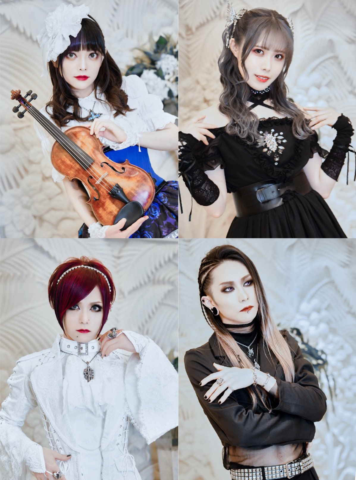 HIZAKI - Search / X
