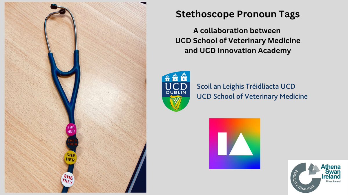 Stethoscope pronoun tags for final year Vet & Vet Nursing students - the tags allow for self expression & diversity to be visible in our School. A huge thank you to the UCD Innovation Academy & William Davis & Leo Humphreys Newman for their help designing & producing these tags!