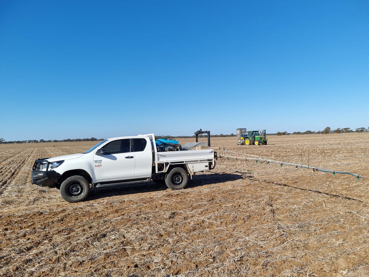 Great effort from @kalyx_australia sowing @PacificSeeds 2024 MEGA #Hyola canola breeding & technical development trial site near Birchip Vic. #localdata4localgrowers @danrollsroyce @hurgl1 @AgingAgro @Ella201093 @FotiouMila @schilgee