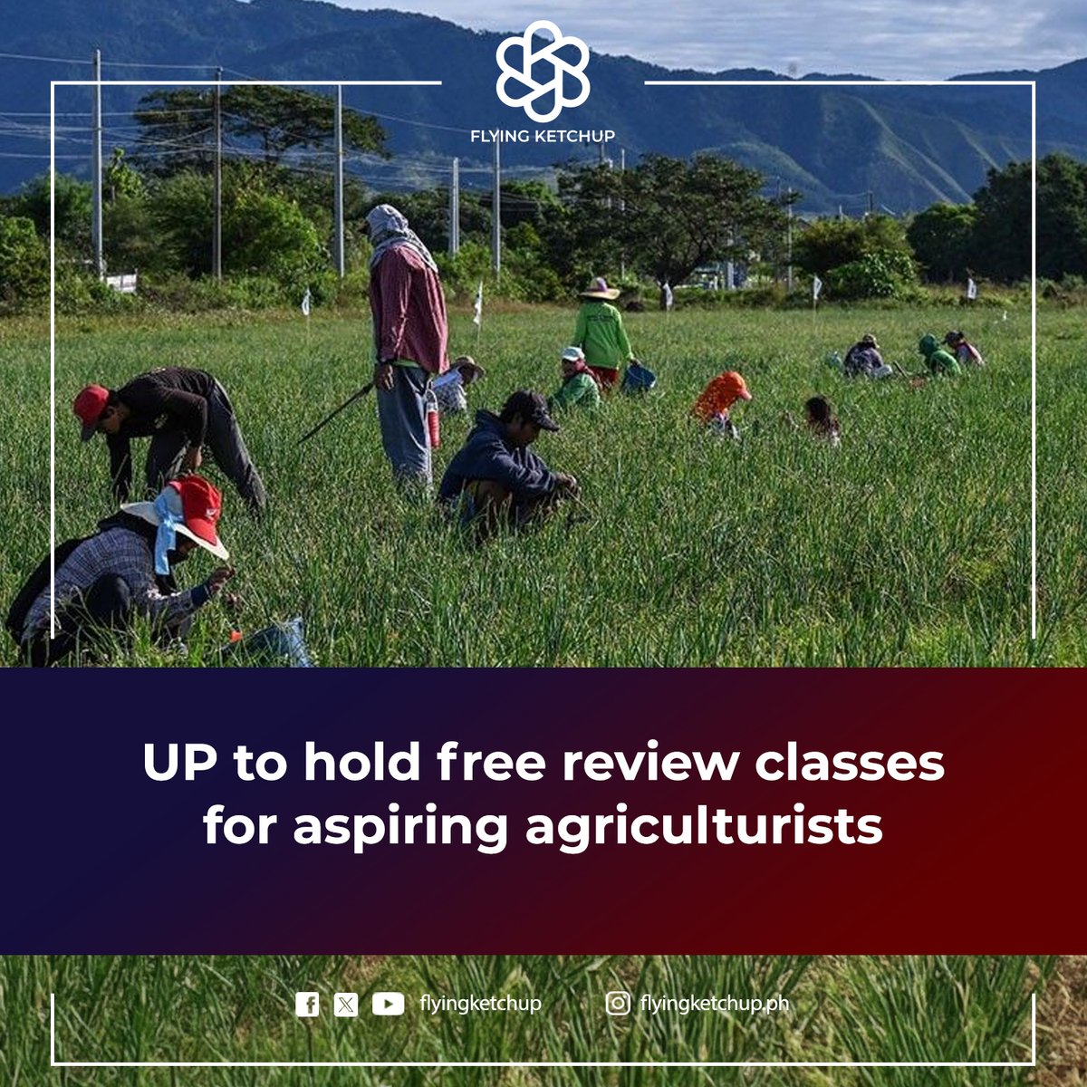 LOOK: UP to hold free review classes for aspiring agriculturists!

Students taking the board exam for agriculturists can soon avail of free review classes offered by the University of the Philippines (UP) Los Baños.

READ MORE: is.gd/x2Ezgx

#FlyingKetchup