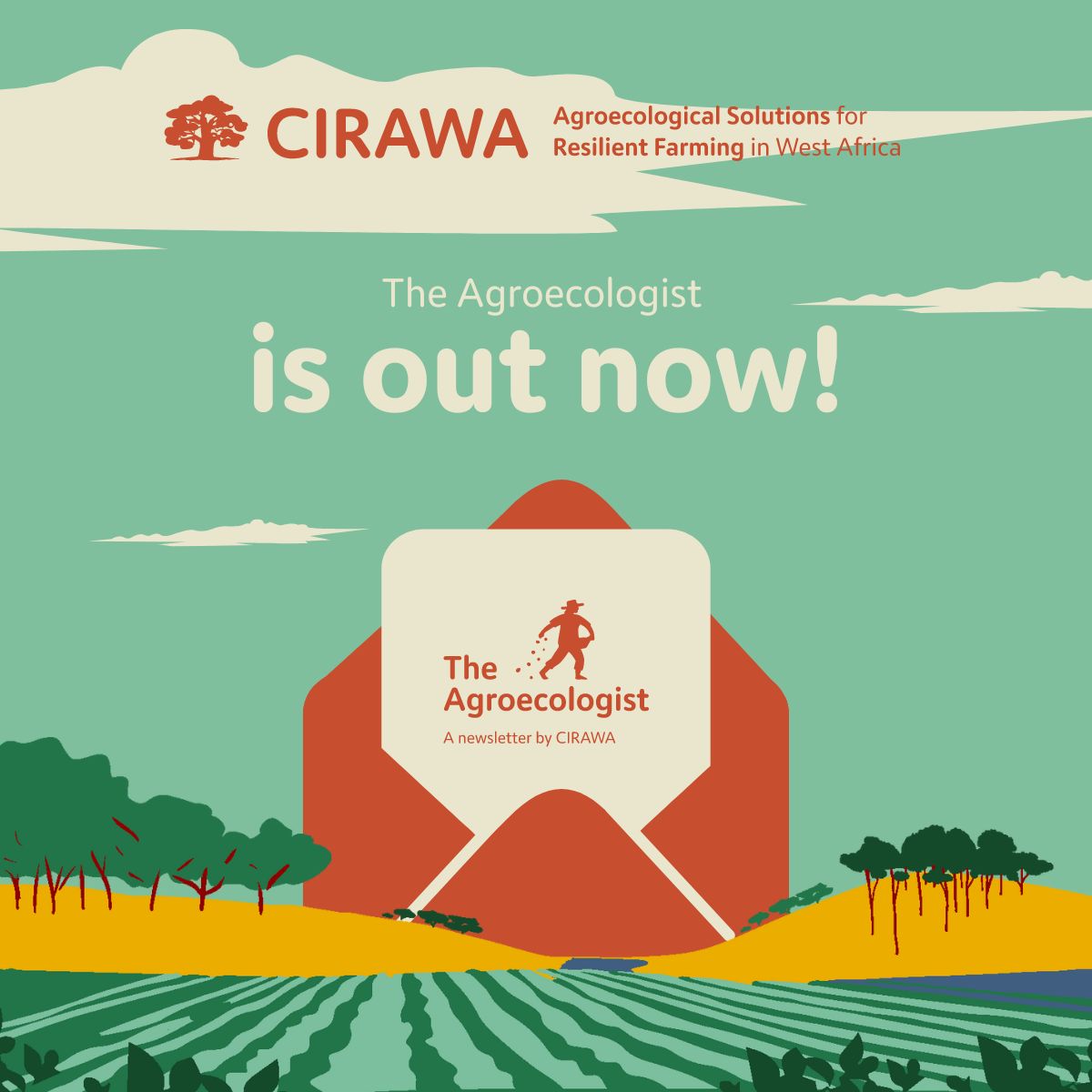 📢We're thrilled to announce that the latest edition of 'The Agroecologist,' CIRAWA’s newsletter, is now available! In this edition, we proudly unveil our latest video filmed in #CapeVerde, the latest news & much more!🆕

📰Dive into the latest issue here: mailchi.mp/ce5367cf13b9/t…