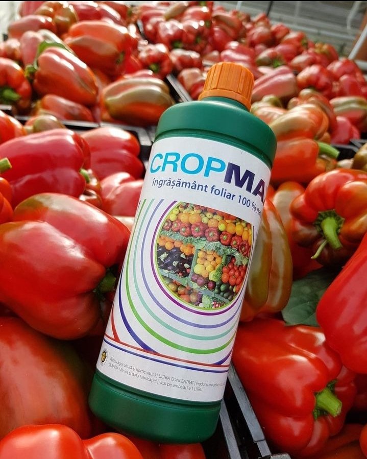 Are you underestimating the power of nutrient uptake boosters? Discover how  CROPMAX can enhance the growth and resilience of your vegetables or cereals paving the way for a bountiful harvest! 
#HollandGreentech #cropmax #agricultural #agriculture #agro #Agronomy #Uganda