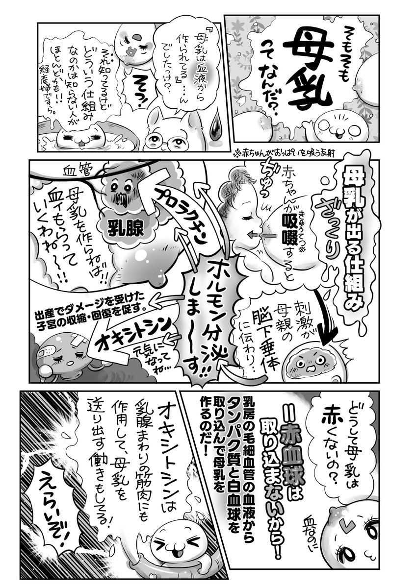 母乳の話🍼をしましょう😊2/2
愛情ホルモンって知ってた❓❤️🥰 