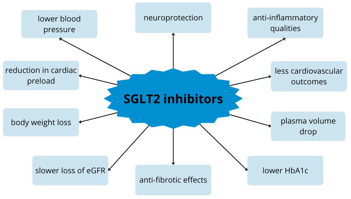 腎疾患におけるSGLT2阻害薬 -ナラティブレビュー（Int J Mol Sci 2024 May.1）

1．SGLT2阻害薬の作用機序と腎臓への効果

✅SGLT2阻害薬の基本的な作用機序
- SGLT2は近位尿細管に存在する膜タンパク質で，ナトリウムとグルコースの同時輸送を担う
-…