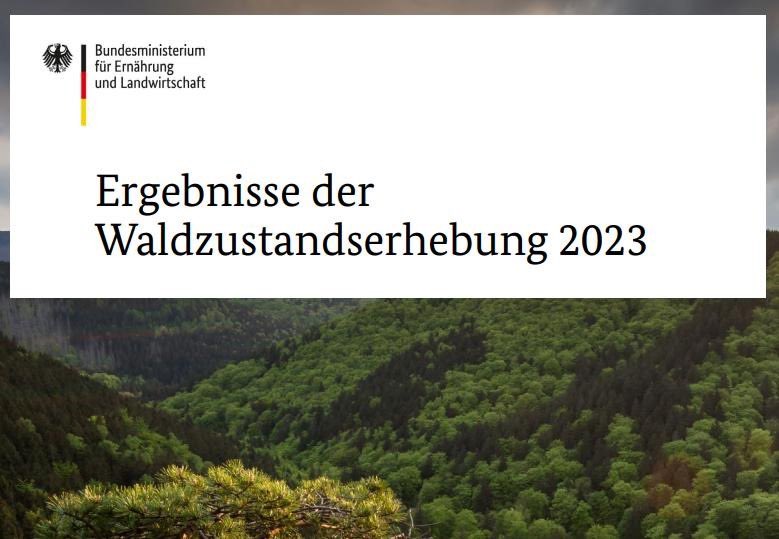 Nur jeder 5. Baum in Deutschland ist laut @bmel gesund! Im Kampf gegen den Klimawandel sind intakte Ökosysteme unsere besten Verbündeten - deshalb kämpfen wir bei dieser Europawahl für ein umfassendes Paket „Natürlicher Klimaschutz“ zur Umsetzung des Nature Restoration Law!