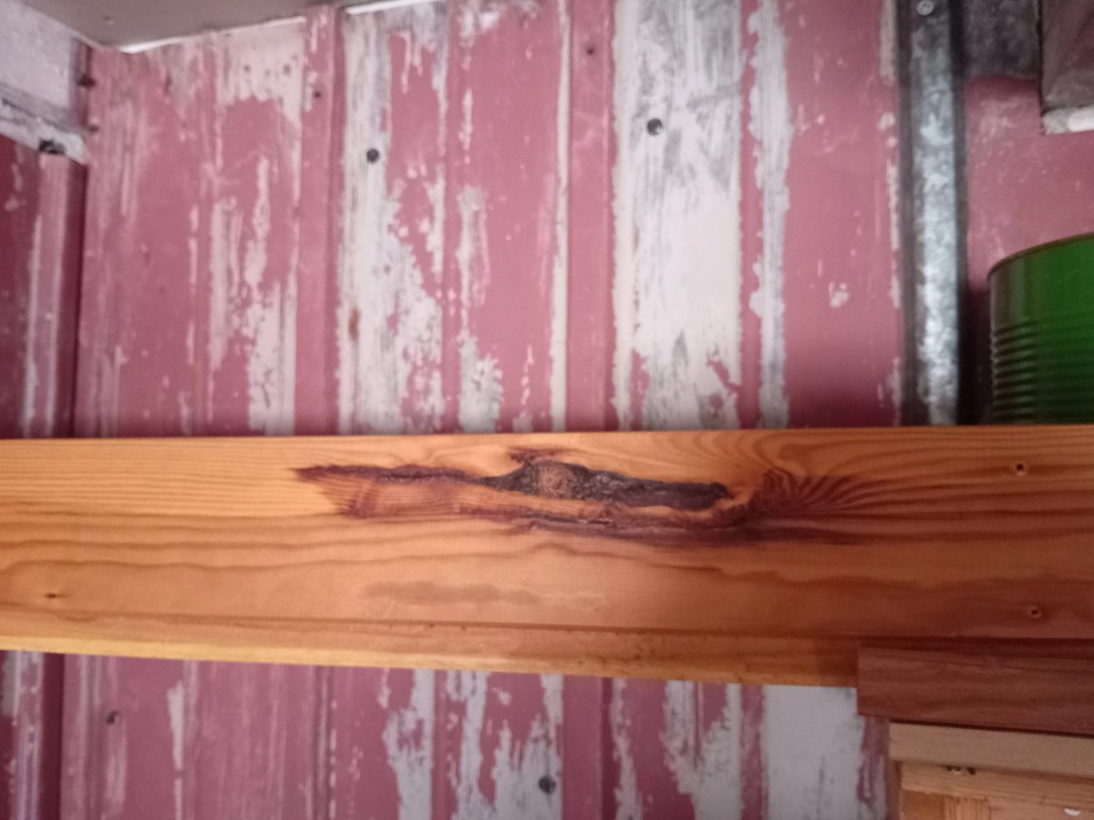 Luonnon muovaamaan taidetta.

Ainakin 40 vuotta vanha 120 mm:n mäntypaneeli.

Näyttää siltä kuin joku ajaisi tukka putkella moottoriveneellä.

Mikä lie poikaoksa ollut puussa juuri tuolla kohdalla ja sahauskin on osunut tuurilla juuri kohdilleen.