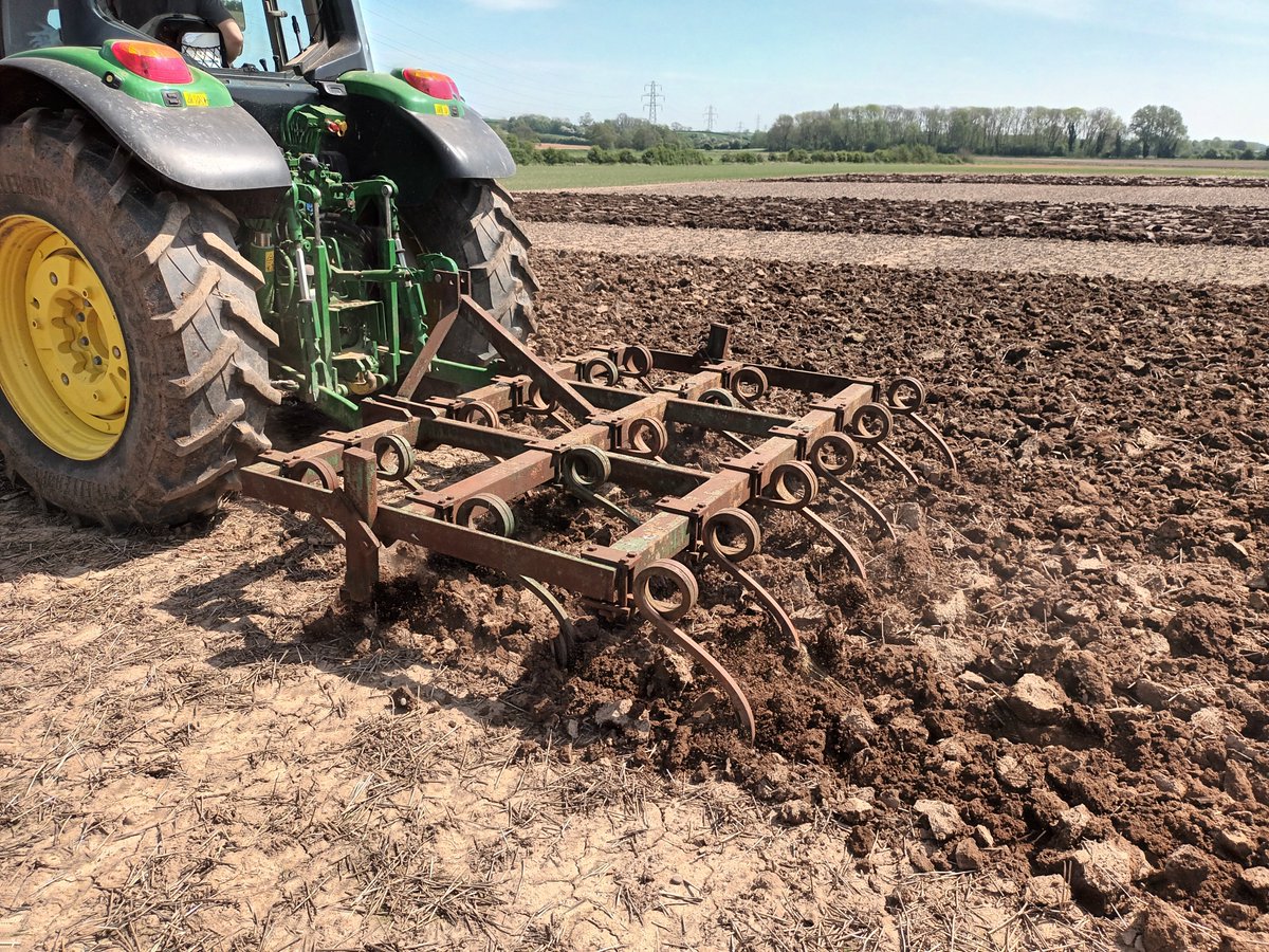 <a href="/ADASGroup/">ADAS</a> teamwork at its finest, implementing different cultivations in our BREAKTHRU second year trial. Studying rooting under varying soil strengths in spring wheat with different ethylene sensitivities - led by <a href="/UoNBiosciences/">UoNBiosciences</a>