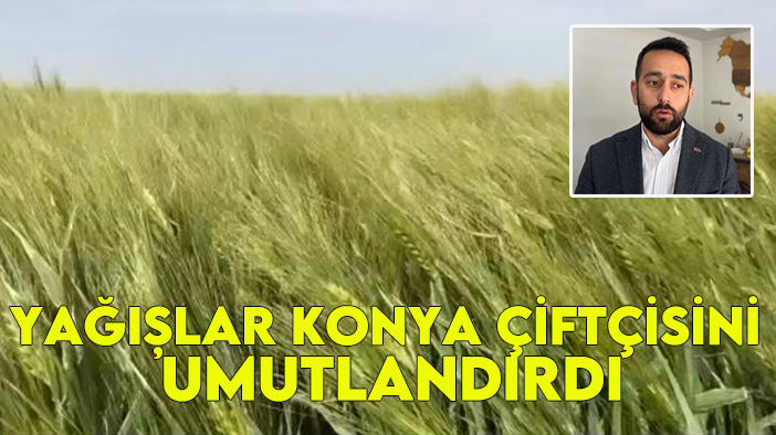 Yağışlar Konya çiftçisini umutlandırdı pusulahaber.com.tr/yagislar-konya… 
#Konya KONYA