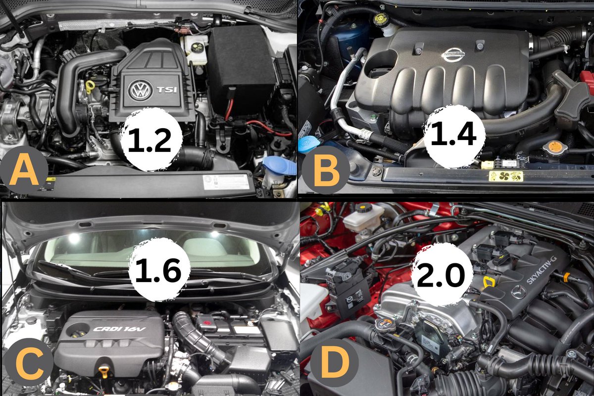 Which car engine capacity do you prefer?