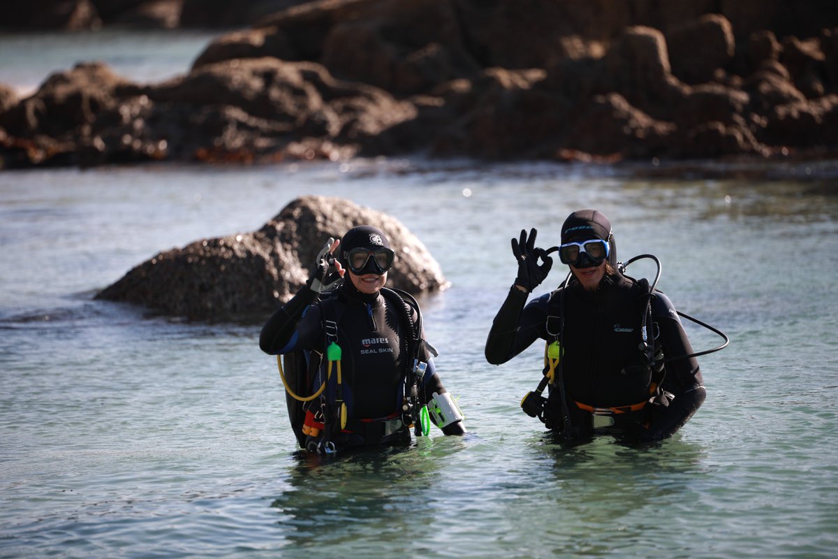 The DAN HIRA program is there to assist managers, business owners, Dive leaders and all staff to identify hazards before they lead to injuries or losses.
Start today: dansa.org/hira-program

#divesafety
#riskassessment
#healthandsafety
#diveprofessionals

📸 Nicolene Olckers