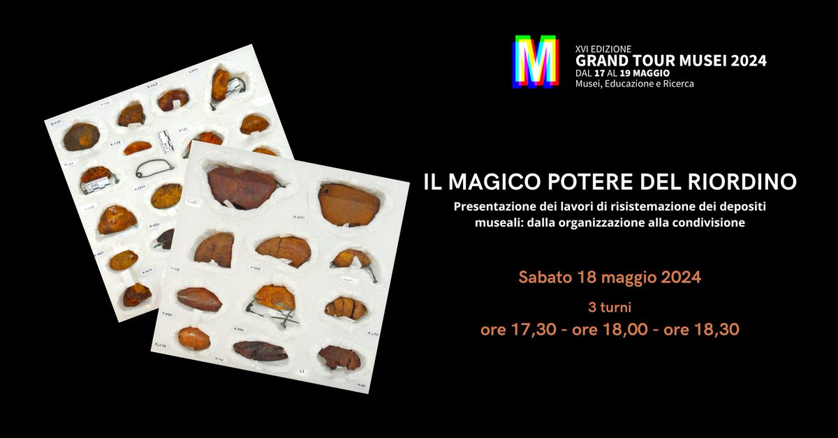 Il 18 maggio il Museo presenta i risultati del lavoro di riordino di uno dei suoi depositi di materiale archeologico.

Tre turni di visita: alle 17,30, alle 18,00 e alle 18,30.

Per partecipare basterà prenotare:
3892661227 museoarcheologicoascolipiceno@cultura.gov.it.

#GTM2024