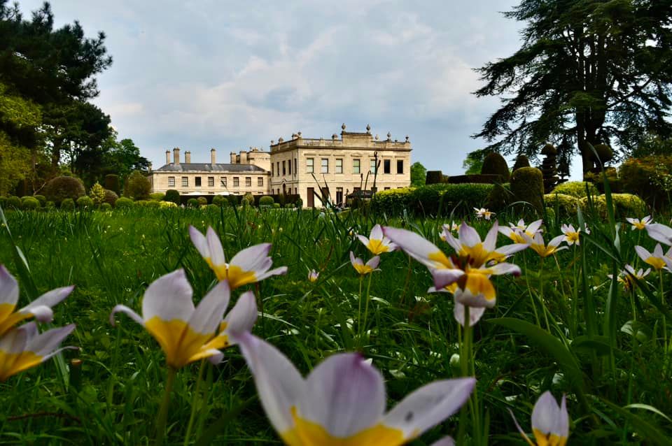 We may have been greeted by rain today but these Romulea always bring the sunshine. 🌞

📸 Adam Sharpe
