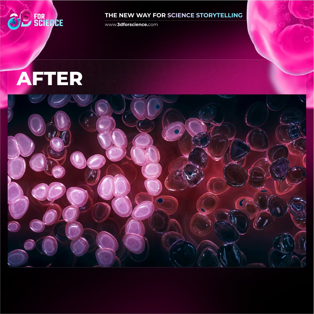 3dforscience_'s tweet photo. This a before and after of the 3D animation project we created for Ochre Bio.
At 3DforScience we translate complex science into compelling visuals. Curious about the project? Check out our case study: https://t.co/i6oRwMbm5X
#3DforScience #ScientificCommunication https://t.co/QsOg4faEAw
